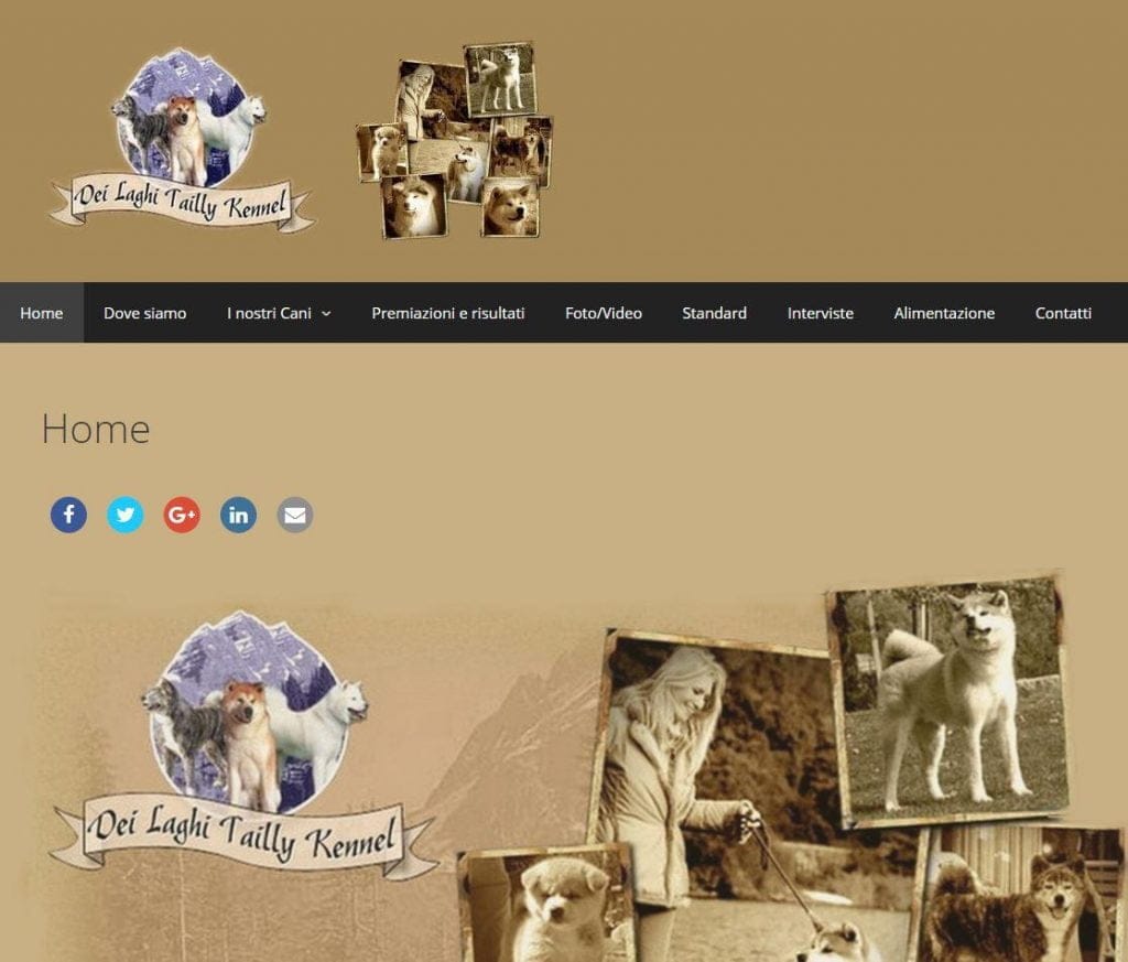 akitatailly.com
