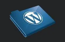 realizzazione siti web Torino 11 temi e plugin WordPress