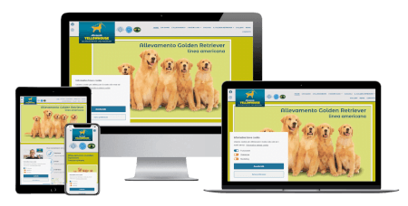 allevamentoyellowhouse_com